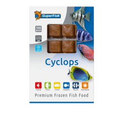 Cyclopes congelés en cubes, à acheter pour petits poissons