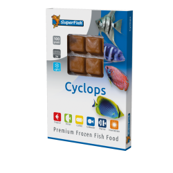 Plaque de cyclopes congelés 100 g en 24 cubes pour petits poissons d'aquarium