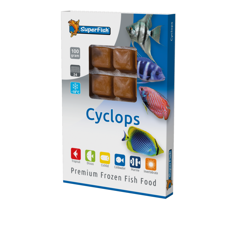 Plaque de cyclopes congelés 100 g en 24 cubes pour petits poissons d'aquarium