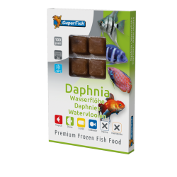 Plaque de daphnies congelées 100 g en 24 cubes pour poissons d'aquarium
