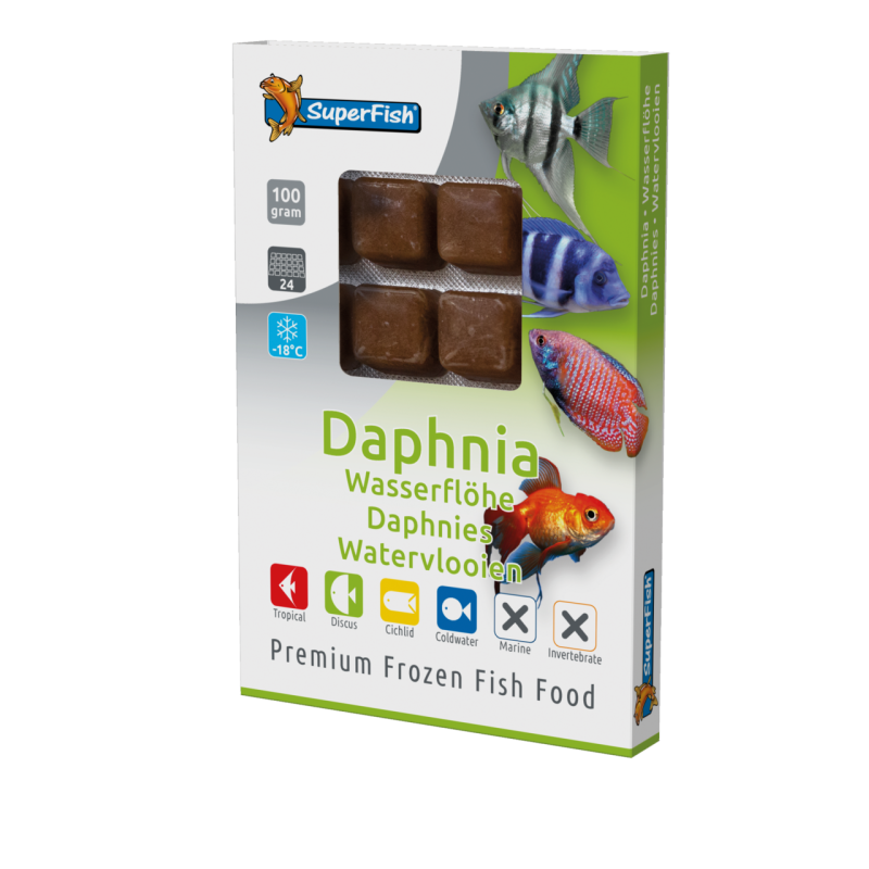 Plaque de daphnies congelées 100 g en 24 cubes pour poissons d'aquarium