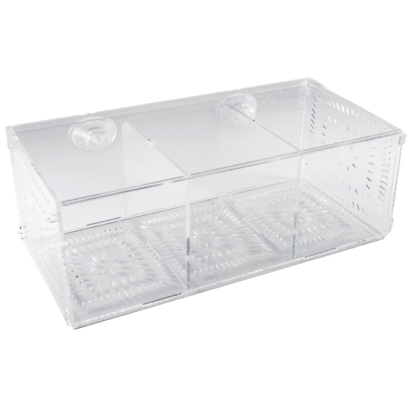 Cage d'isolement pour aquarium 30 cm, poisson allongé