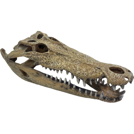 Achat cachette grand reptile Repto Deco Crocodile XXL