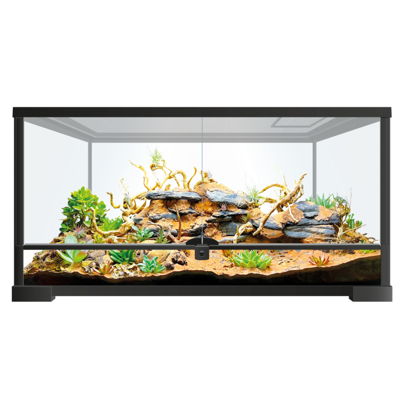 Acheter un terrarium grande taille pour retile et serpent