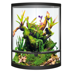 Vente terrariumpour reptile grimpeur Repto Terra Half-Moon