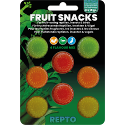 Gelée mix de fruits insecte oiseau reptile