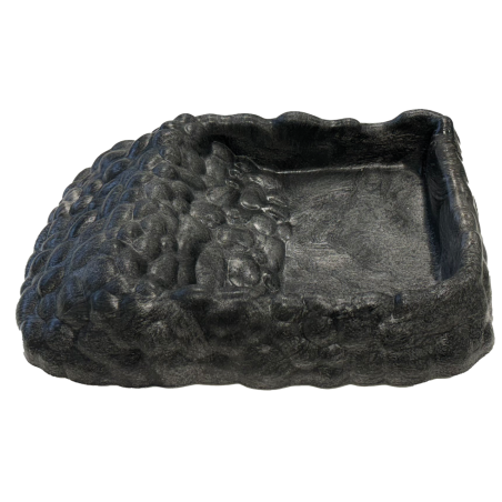 Achat bol à eau tortue serpent reptile Tortoise Dish