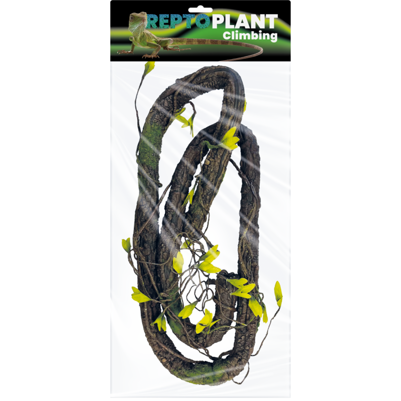 Vente liane décorative reptile terrarium