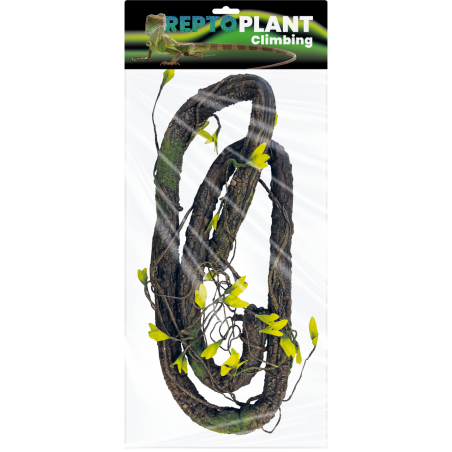 Vente liane décorative reptile terrarium