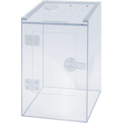 Terrarium en verre Deluxe 15x15x23 cm – Habitat compact pour reptiles et plantes