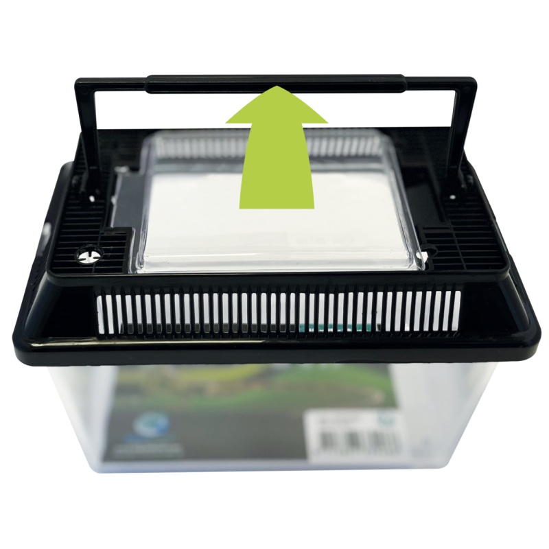 Repto Box 18x11x12 cm : Boîte d’élevage reptiles et invertébrés