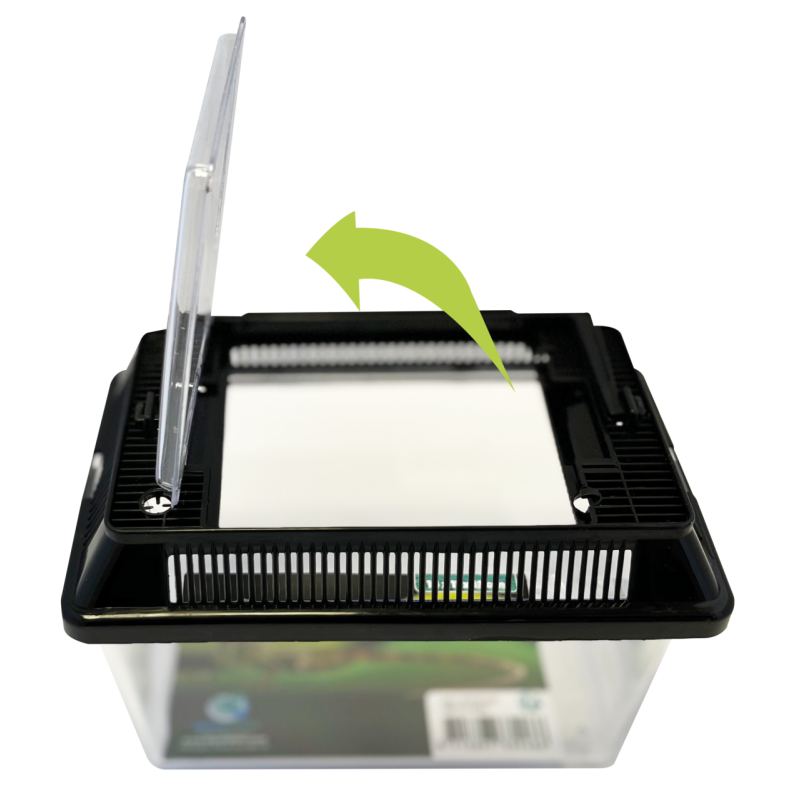 Repto Box 18x11x12 cm : Boîte d’élevage reptiles et invertébrés