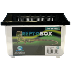 Repto Box 18x11x12 cm : Boîte d’élevage reptiles et invertébrés