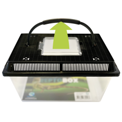 Repto Box 27x17x16 cm : Boîte de transport ventilée pour reptiles et insectes