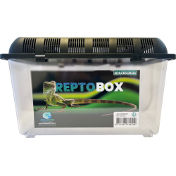 Boîte d’élevage Repto Box 32,5x22x21 cm : Habitat ventilé pour reptiles et insectes