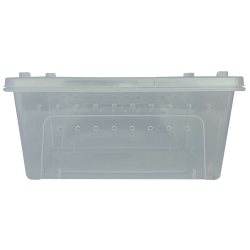 Repto Transport Box : Boîte de transport large pour reptiles et invertébrés