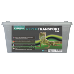 Repto Transport Box : Boîte de transport large pour reptiles et invertébrés