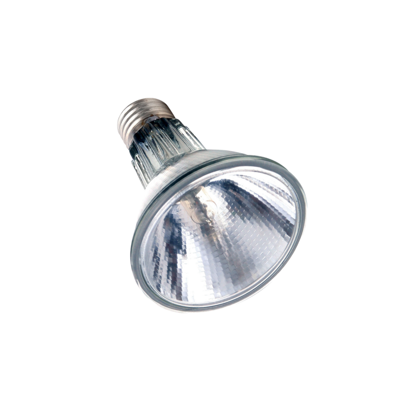 Lampe chauffante Arcadia 50W Halogène Point chaud pour reptiles