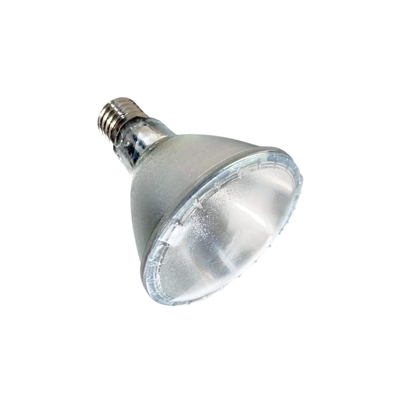 Lampe chauffante Arcadia 75W Halogene reptile terrarium Dundee Shop