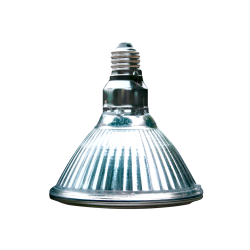 Lampe chauffante Arcadia 100W Halogene reptile terrarium