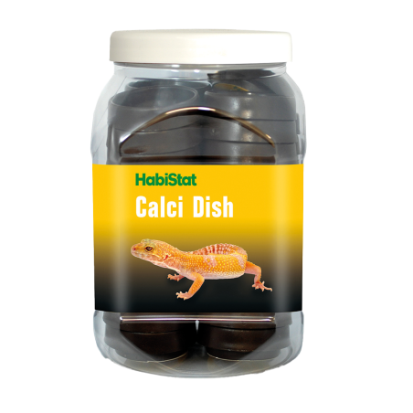 Bol à calcium reptile stable pas cher