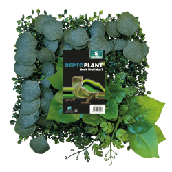 Repto Plant décor 25x25 cm fond végétal terrarium pas cher