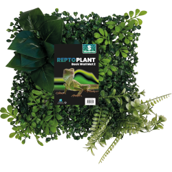 Achat fond végétal terrarium 25x25 décor naturel