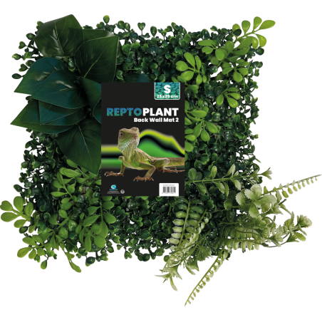 Achat fond végétal terrarium 25x25 décor naturel