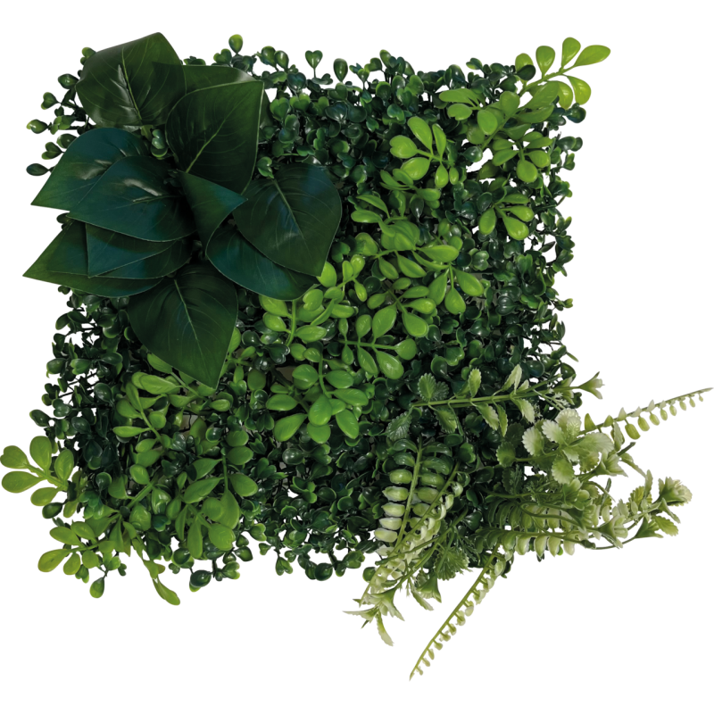 Achat fond végétal terrarium 25x25 décor naturel