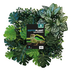 Plaque fond végétal terrarium 25x25 pour reptiles