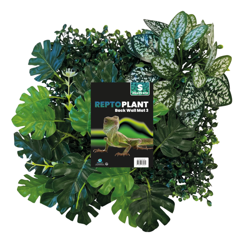 Plaque fond végétal terrarium 25x25 pour reptiles