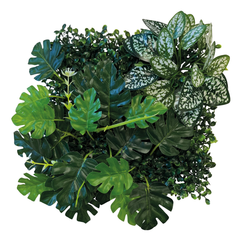 Plaque fond végétal terrarium 25x25 pour reptiles