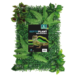 Mur de Plantes terrarium 40x60cm (modèle 1)