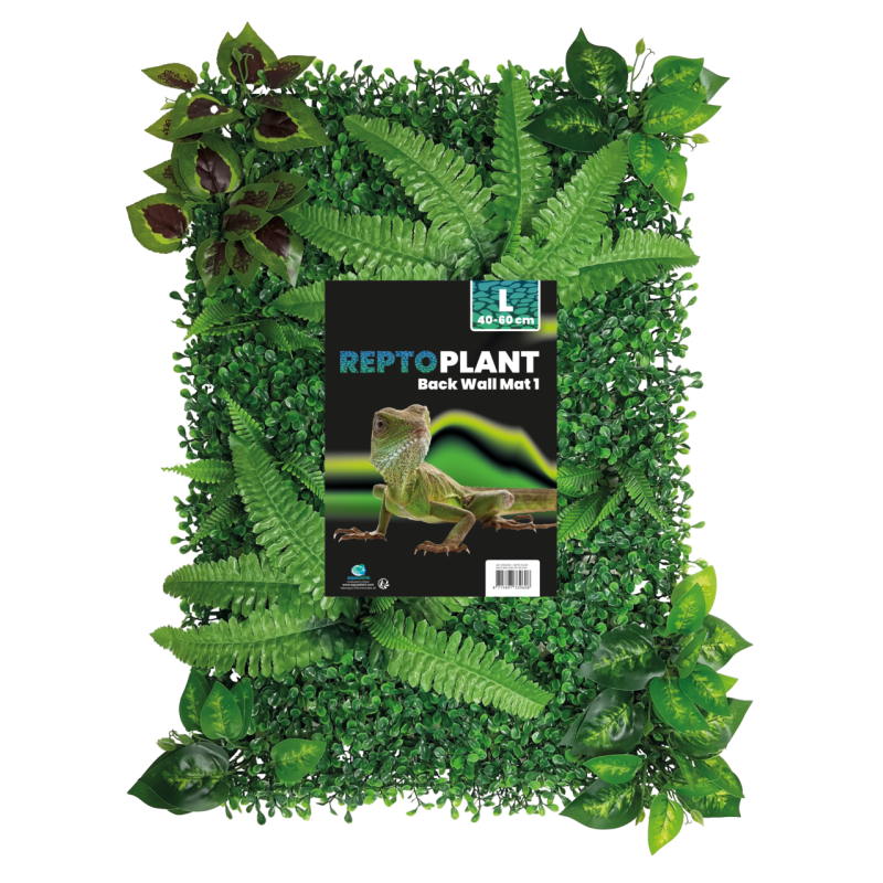 Mur de Plantes terrarium 40x60cm (modèle 1)