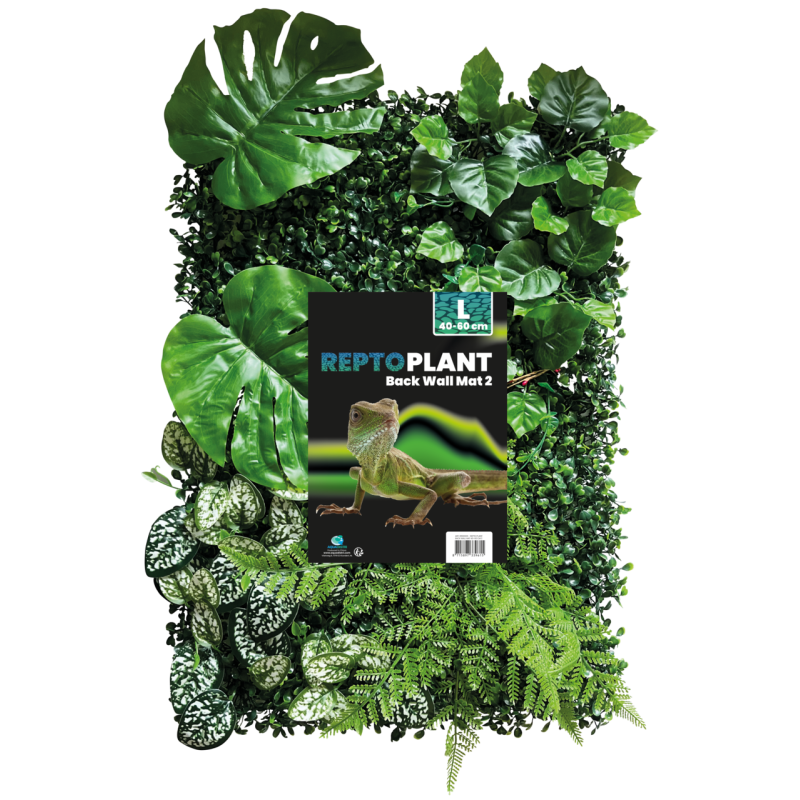 Mur de Plantes terrarium 40x60cm (modèle 2)