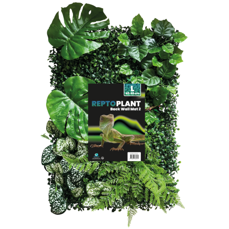 Mur de Plantes terrarium 40x60cm (modèle 2)