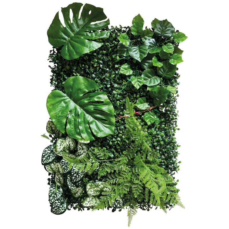 Mur végétal Repto Plant 40x60 plante terrarium commande