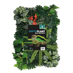 Mur de Plantes terrarium 40x60cm (modèle 3)