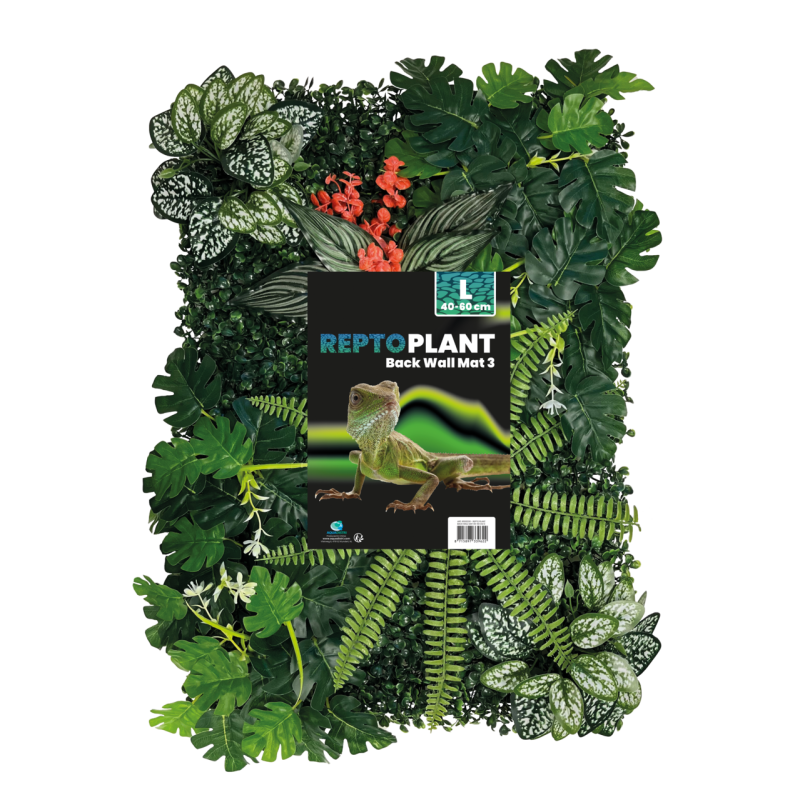 Mur de Plantes terrarium 40x60cm (modèle 3)