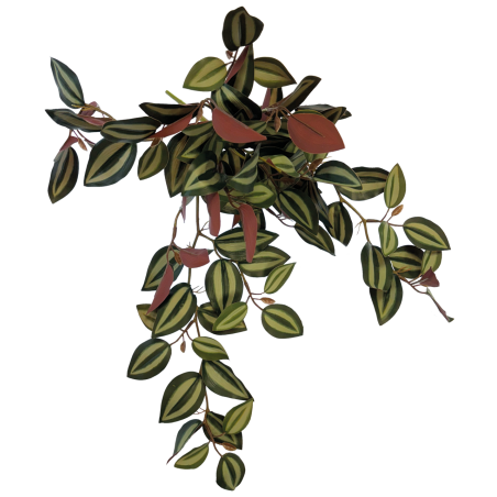 Plante terrarium suspendue arrière rouge 46cm