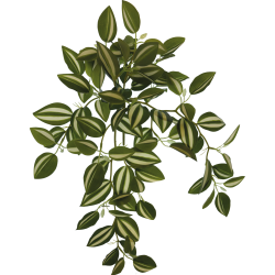 Plante terrarium suspendue verte/blanche 46cm