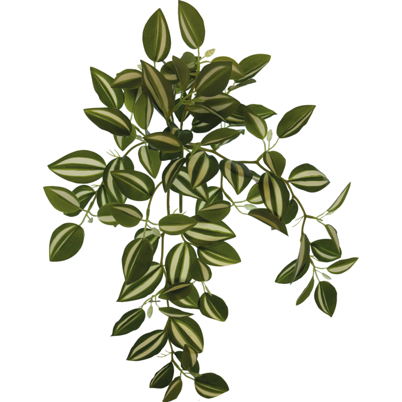 Plante terrarium suspendue verte/blanche 46cm