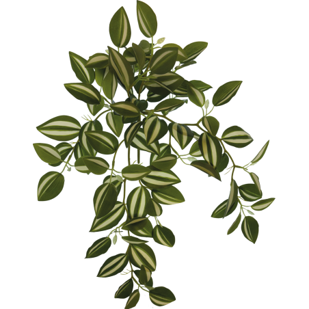 Plante terrarium suspendue verte/blanche 46cm