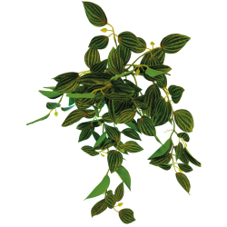 Plante terrarium suspendue verte 46cm