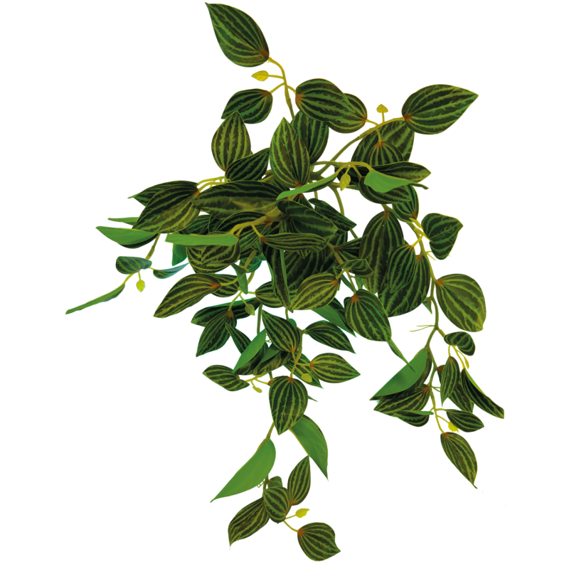 Plante terrarium suspendue verte 46cm