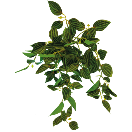 Plante terrarium suspendue verte 46cm