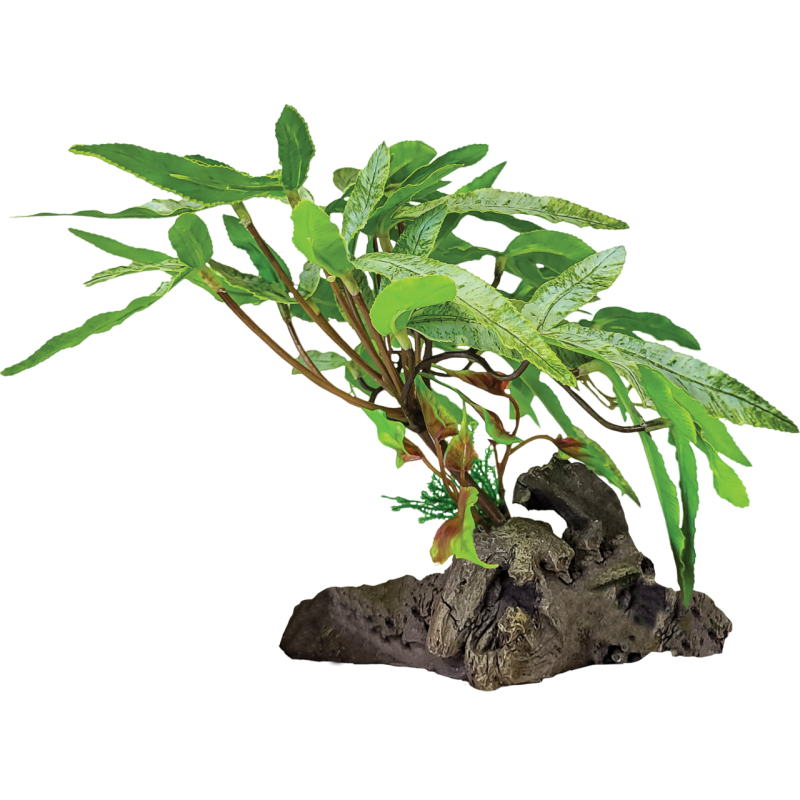 Plante terrarium sur déco a 3 feuilles pointues 29x26x17cm