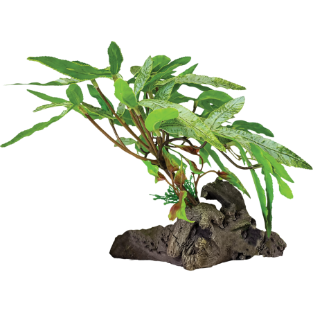 Plante terrarium sur déco a 3 feuilles pointues 29x26x17cm