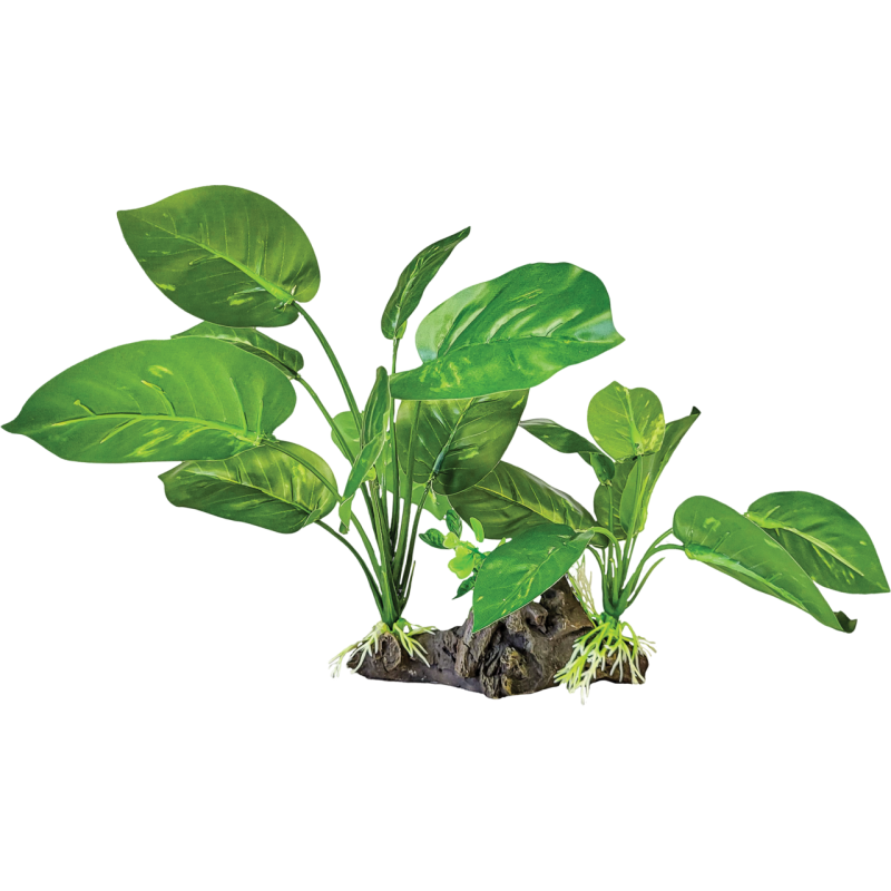 Repto Plante décor terrarium verte foncée achat en ligne