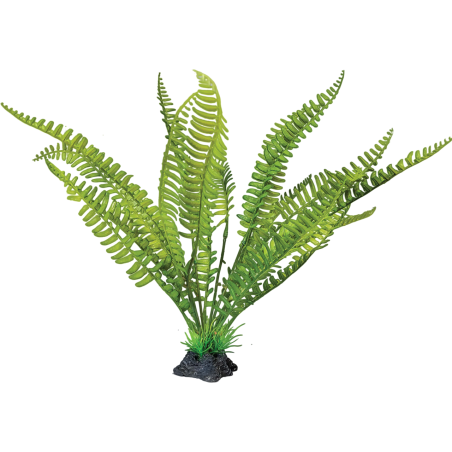 Plante Fougère terrarium debout 30x22x32cm